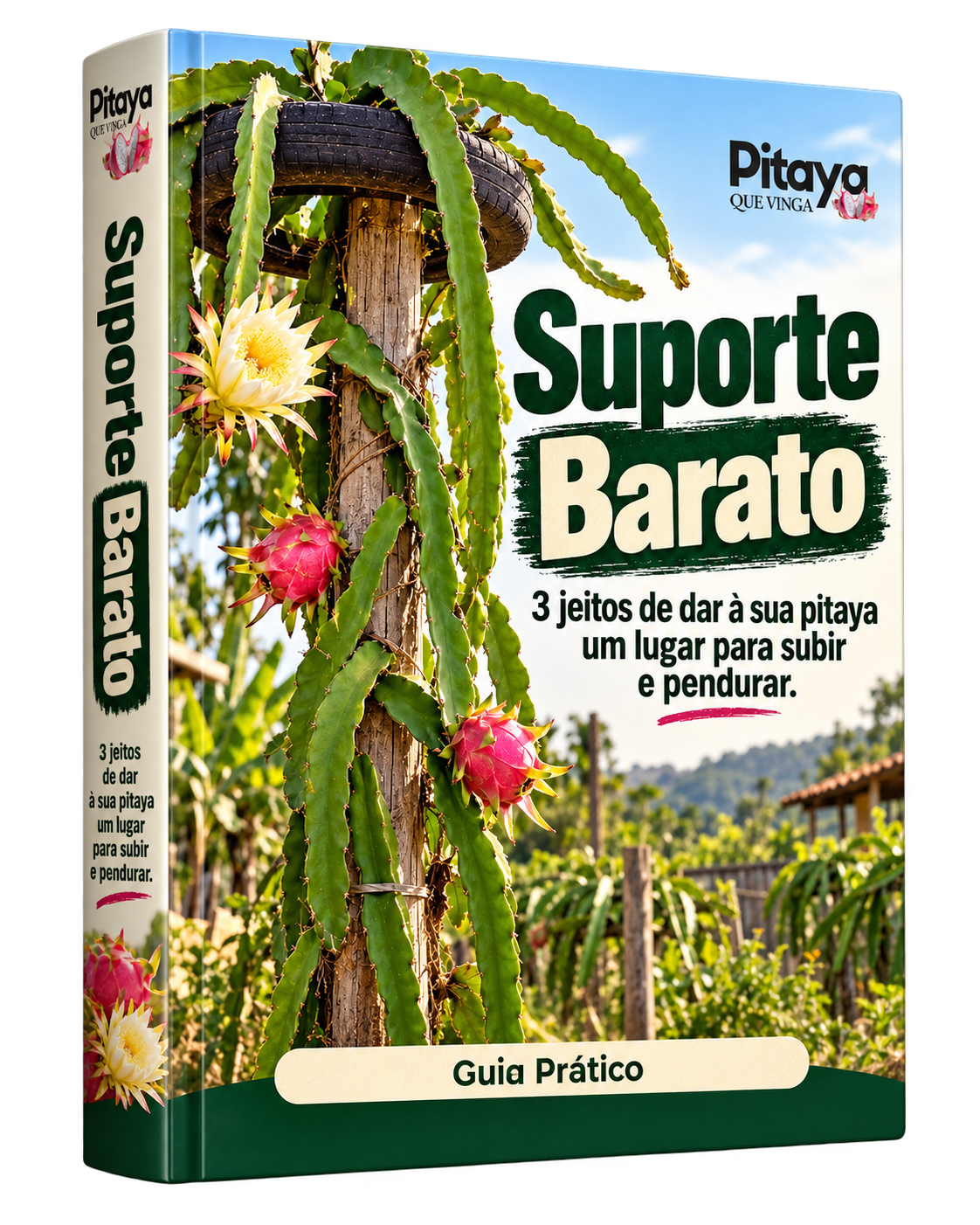 Capa do Bônus 02 — Suporte Barato